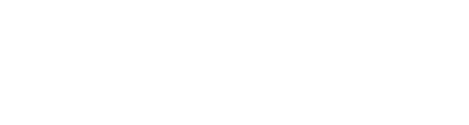 KOKONI 魔芯科技